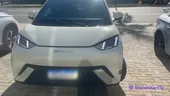 BYD Dolphin Mini - Miniatura 2