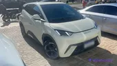 BYD Dolphin Mini - Miniatura 3