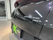BYD Dolphin Mini - Miniatura 16