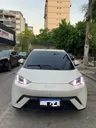 BYD Dolphin Mini - Miniatura 1
