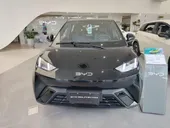 BYD Dolphin Mini - Miniatura 1