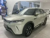 BYD Yuan Pro