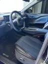 BYD Dolphin Mini - Miniatura 9
