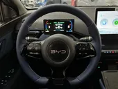 BYD Dolphin Mini - Miniatura 16