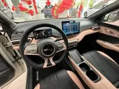 BYD Dolphin Mini - Miniatura 9