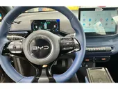 BYD Dolphin Mini - Miniatura 8