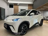 BYD Dolphin Mini