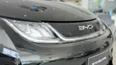 BYD Dolphin - Miniatura 10