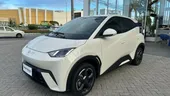 BYD Dolphin Mini - Miniatura 5
