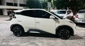BYD Dolphin Mini - Miniatura 7