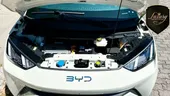 BYD Dolphin Mini - Miniatura 5