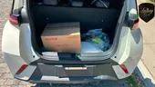 BYD Dolphin Mini - Miniatura 7