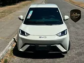 BYD Dolphin Mini - Miniatura 9