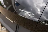 BYD Dolphin Mini - Miniatura 12