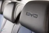 BYD Dolphin Mini - Miniatura 15