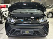BYD Dolphin Mini - Miniatura 15