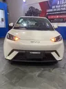 BYD Dolphin Mini - Miniatura 2