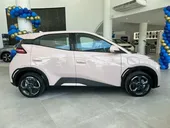 BYD Dolphin Mini - Miniatura 12