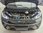 BYD Dolphin Mini - Miniatura 11