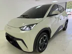 BYD Dolphin - Miniatura 3