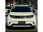 BYD Dolphin - Miniatura 2