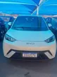 BYD Dolphin Mini - Miniatura 1