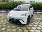BYD Dolphin Mini - Miniatura 1