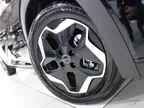 BYD Dolphin - Miniatura 4