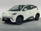 BYD Dolphin - Miniatura 1