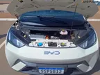 BYD Dolphin Mini - Miniatura 16