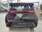 BYD Dolphin Mini - Miniatura 5