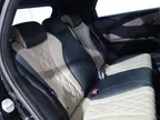 BYD Dolphin - Miniatura 7
