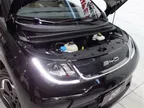 BYD Dolphin - Miniatura 8