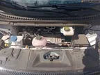 BYD Dolphin Plus - Miniatura 10