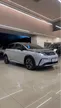 BYD Dolphin - Miniatura 6