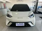 BYD Dolphin Mini