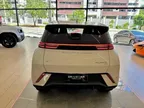 BYD Dolphin Mini - Miniatura 4