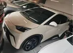 BYD Dolphin Mini - Miniatura 1