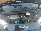 BYD Dolphin Mini - Miniatura 7