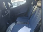 BYD Dolphin Mini - Miniatura 10