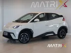 BYD Dolphin Mini - Miniatura 18