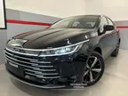 BYD King - Miniatura 2