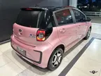 JAC E-JS1 - Miniatura 3