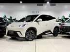 BYD Dolphin Mini - Miniatura 1