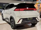 BYD Dolphin Mini - Miniatura 3