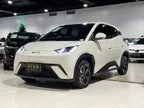 BYD Dolphin Mini - Miniatura 9