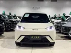BYD Dolphin Mini - Miniatura 14