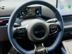 BYD Dolphin Mini - Miniatura 4