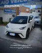BYD Dolphin Mini - Miniatura 3