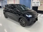 BYD Dolphin Mini
